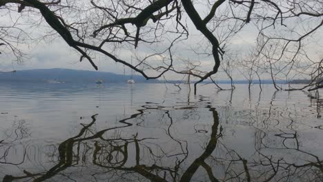 increíbles reflejos de las ramas de los árboles sumergidos en la superficie del agua del lago