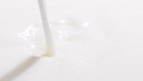 Closeup Pouring Fresh Soy Milk Closeup Pouring Fresh Soy Milk Close up of Milk Flow with Bubbles