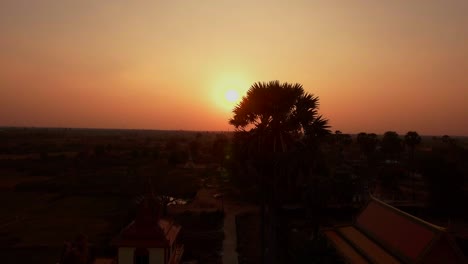 aerial : fly down behind the silhouette of tropical palm trees at orange sunset