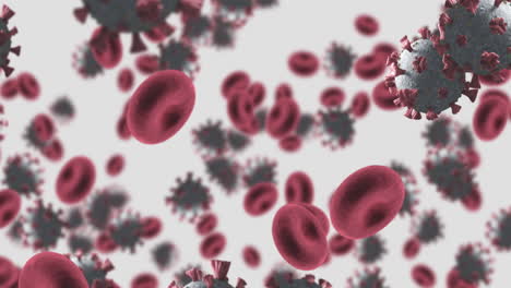animación de células de macro coronavirus covid-19 flotando en una vena. 4k