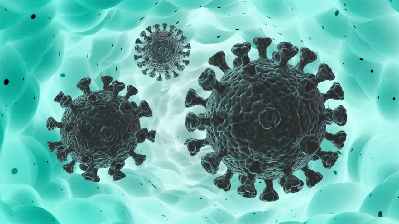 A coronavirus moving inside the body. Looped high-quality video.