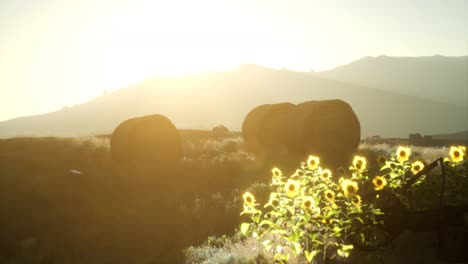 hay-bales-in-the-sunset