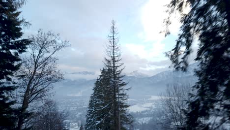 pov driving along snowed forest on winter day, tatra mountains, poland