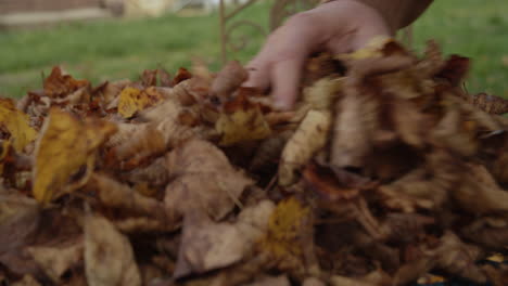 hand shakes autumn leaves off a table with a forgotten coffee mug