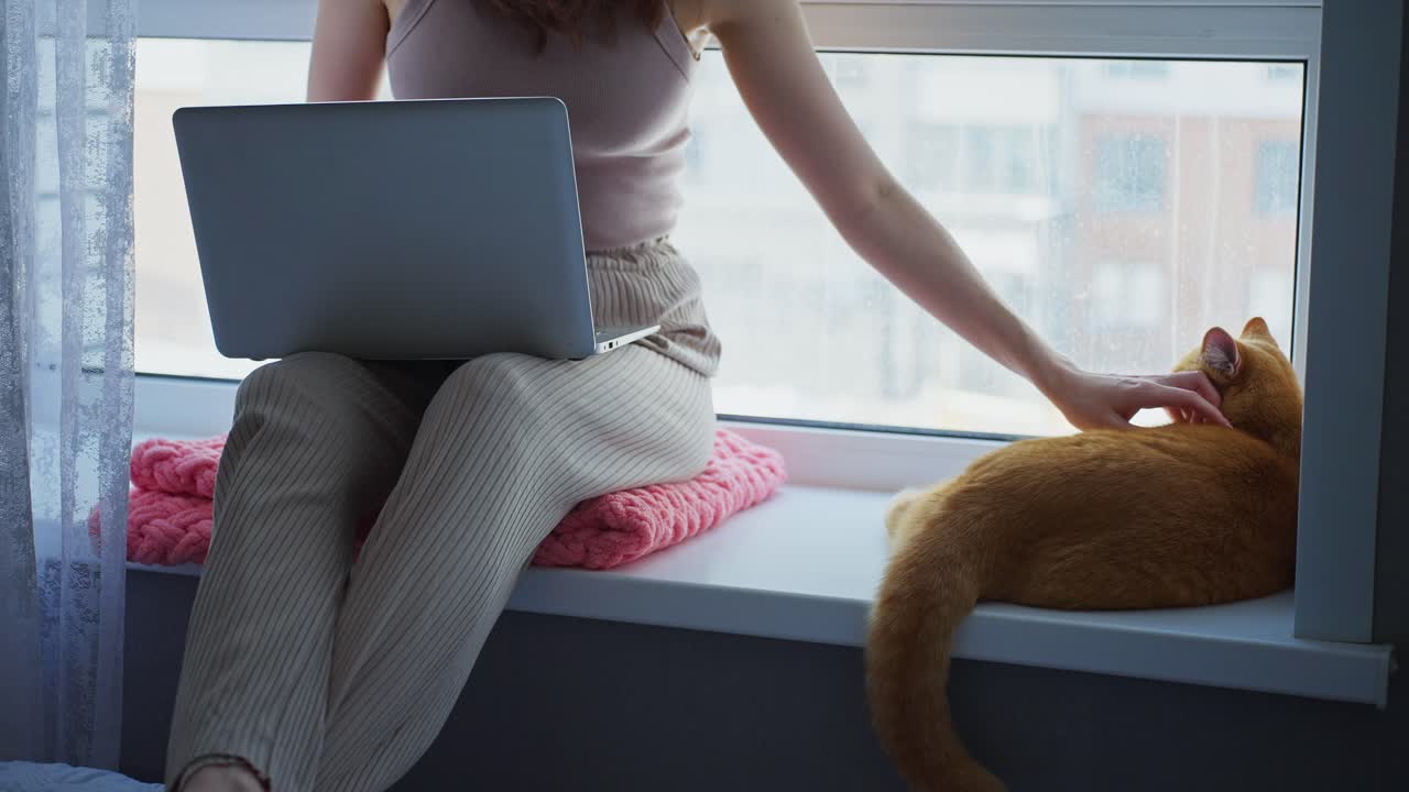 窓辺でノートパソコンを操作し猫を撫でる女性