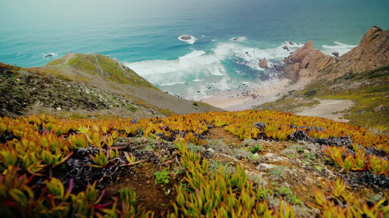 Panoramic view of a coastal landscape with cliffs and ocean