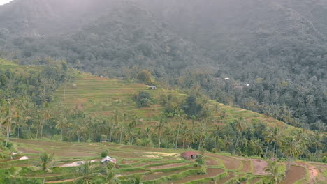 área remota inn bali ... arrozal