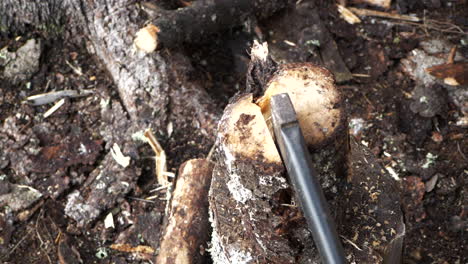 overhead shot of axe head splitting log in slow motion