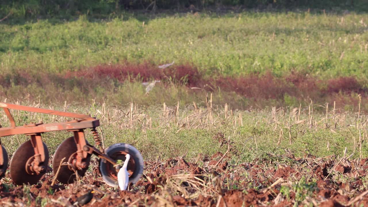농사를 짓기 위해 트랙터를 운용하는 농부
