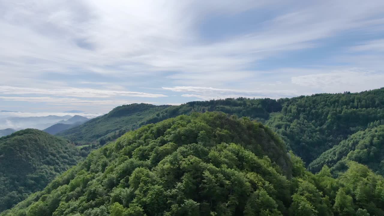 Green mountain range completely covered with trees and clouds hanging low between the hills. Aerial shot, deep drone flight directly above the summit