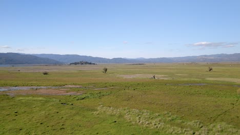 green field landscape near lake henshaw in san diego, california