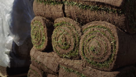 paletas de césped enrolladas. material listo para plantar para un hermoso césped verde. vídeo 4k
