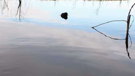 Water-reflection-close-up-footage-without-people