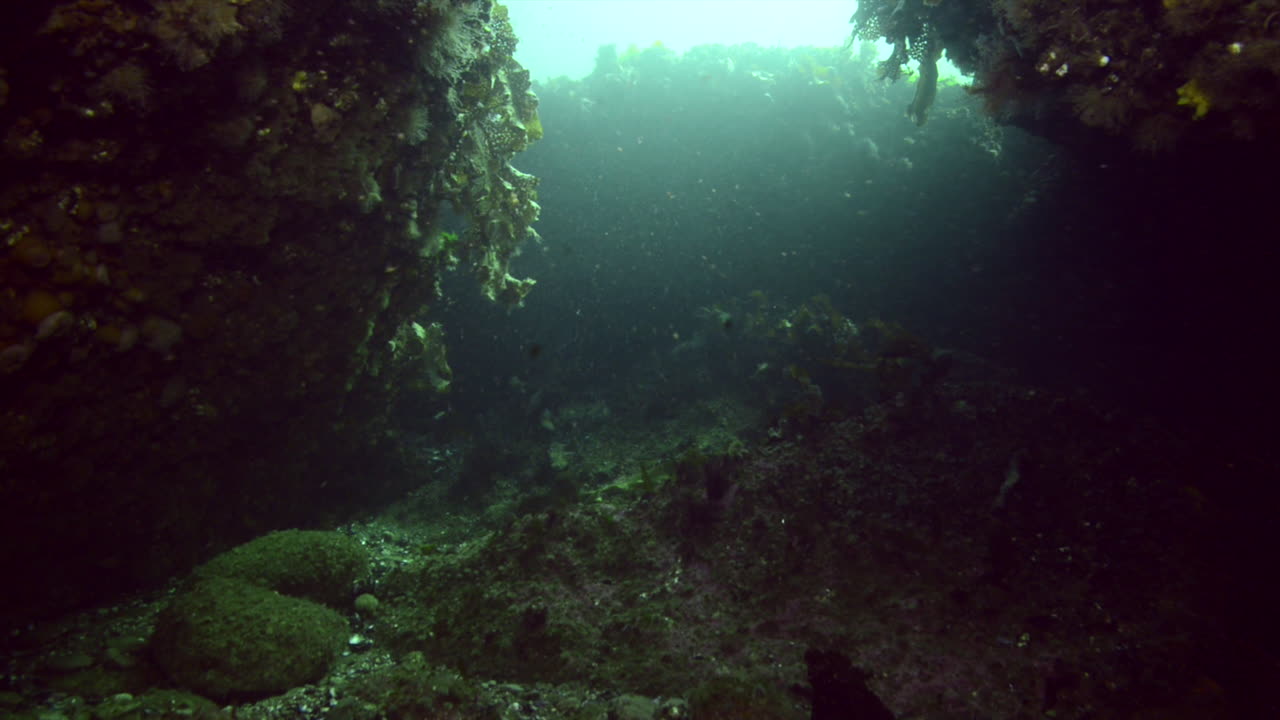 going through a cavern while scuba diving in the cold Atlantic ocean