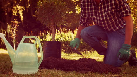 man gardening in the park
