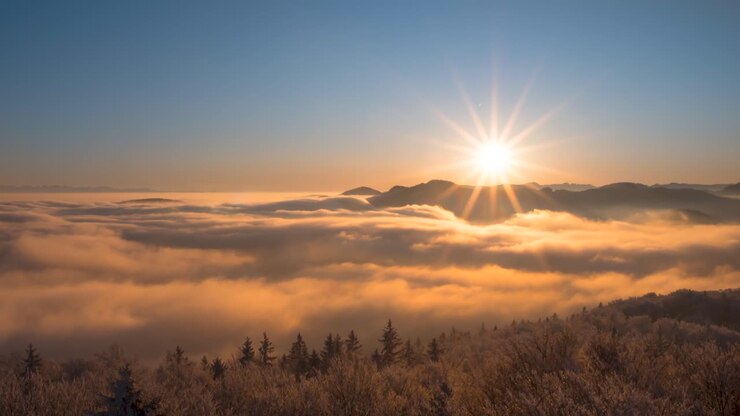 Un impresionante espectáculo natural se despliega mientras el sol sale (o se pone) sobre una majestuosa cordillera, proyectando rayos dorados sobre un mar de nubes y niebla. Árboles cubiertos de escarcha en primer plano brillan.