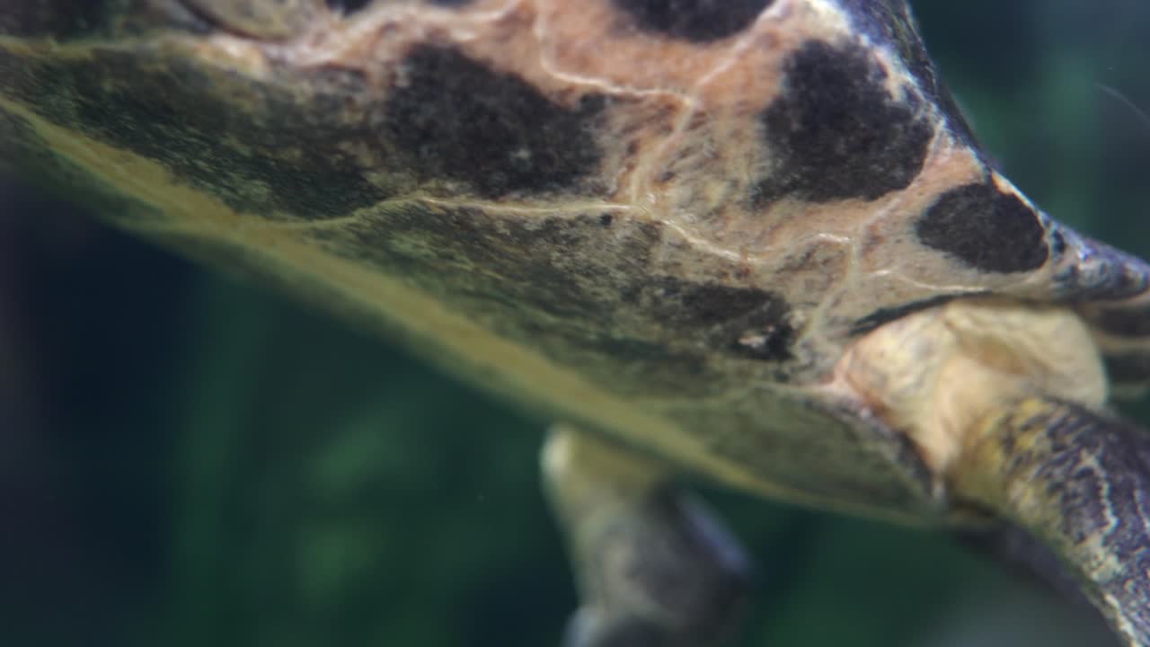 近距離拍到一個人的身體