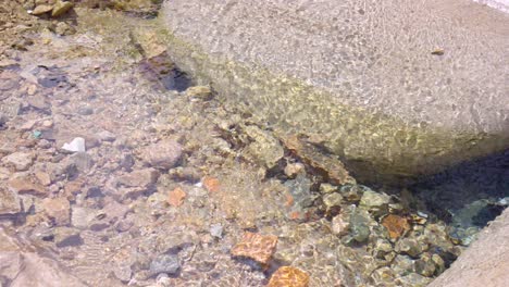 un arroyo claro con una superficie de agua brillante, un río claro y sin fondo
