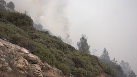 incendio forestal ruge en california