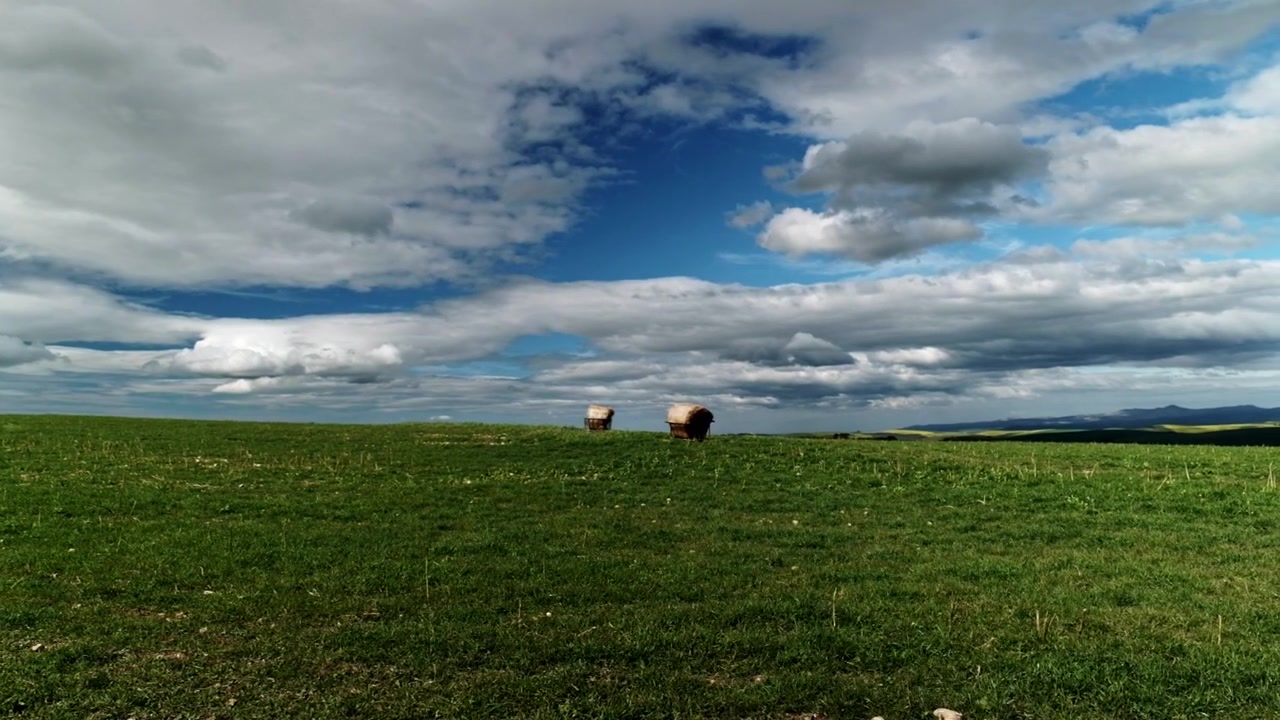 Rotoballe di fieno su un campo verde con un cielo blu e nuvoloso nella regione agricola del Capo Occidentale in Sudafrica.