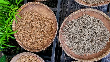 woven baskets filled with roasted luwak coffee beans, topdown pan