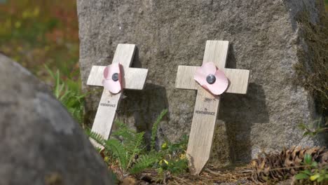 Crosses-on-grave-in-remembrance-rose