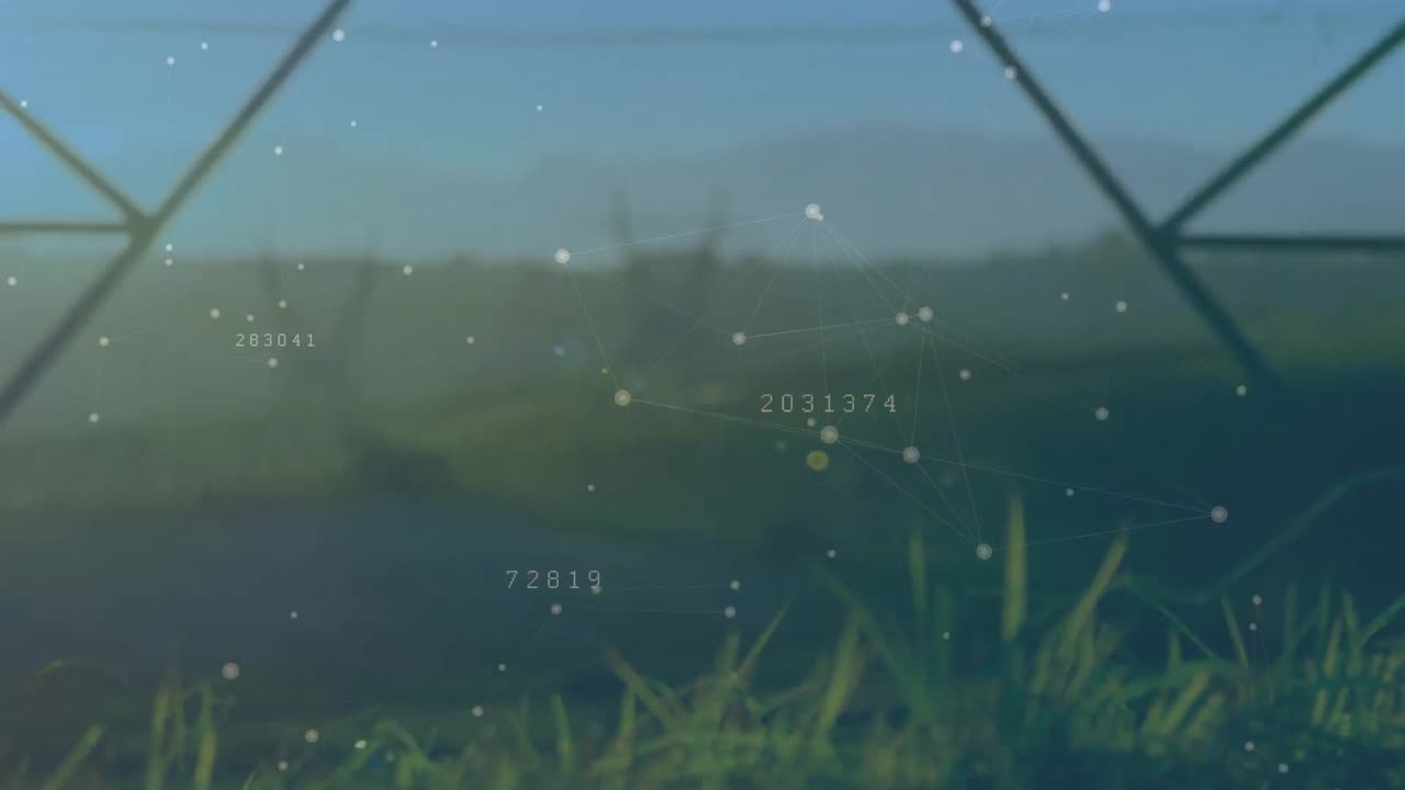 연결 네트워크의 애니메이션과 녹색 잔디의 클로즈업에 변경되는 숫자