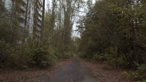 walking through the ghostly forest trail in chernobyl near an abandoned building - long shot