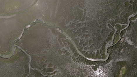 aerial video looks straight down over hilton head’s salt marsh, revealing winding creeks and textured mudflats etched into the coastal plain