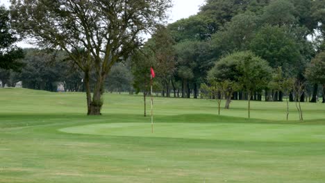 Golf Course Hole, Green with Red Flag