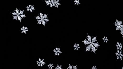 Falling-Snowflake-2