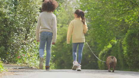 Rückansicht-Von-Zwei-Kindern,-Die-Mit-Dem-Haustier-Französische-Bulldogge-Entlang-Der-Landstraße-Spazieren-Gehen