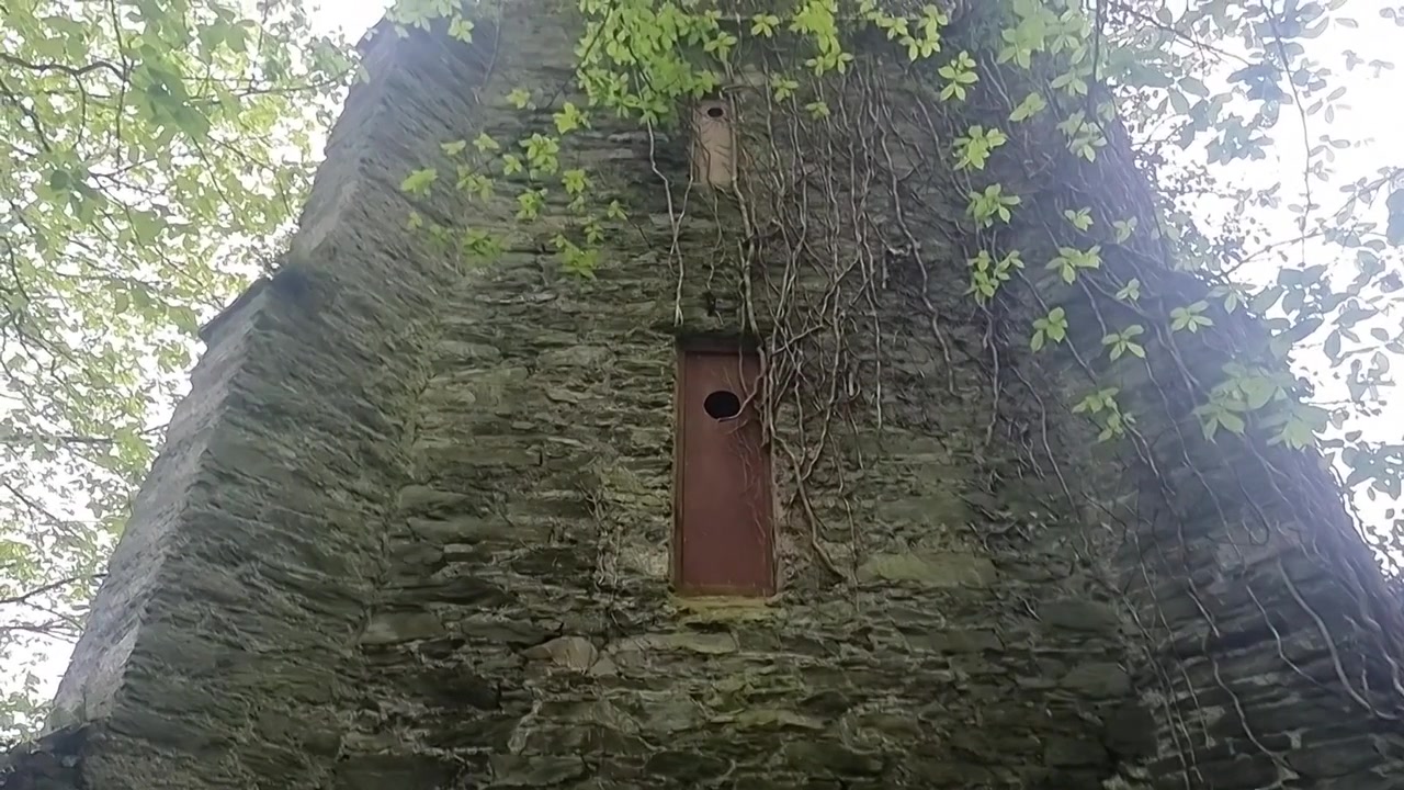 Dreamlike stone tower covered in ivy vines with unusual wooden doors with no access, looking up