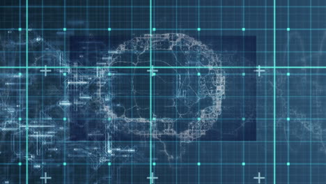 animación de diversos datos y cerebro giratorio sobre pantalla digital azul