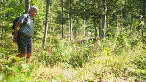 man hiking through a green forest