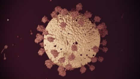 virus coronavirus microscopic covid 19 cell ncov infection corona macro