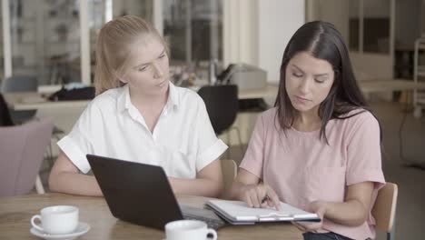 confident young businesswomen concluding agreement