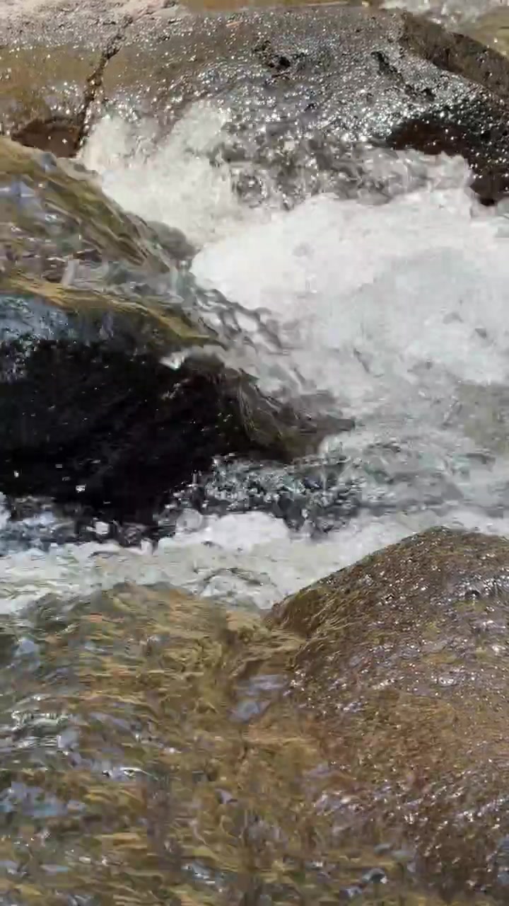 Acqua limpida che scorre sulle rocce in un ruscello di montagna