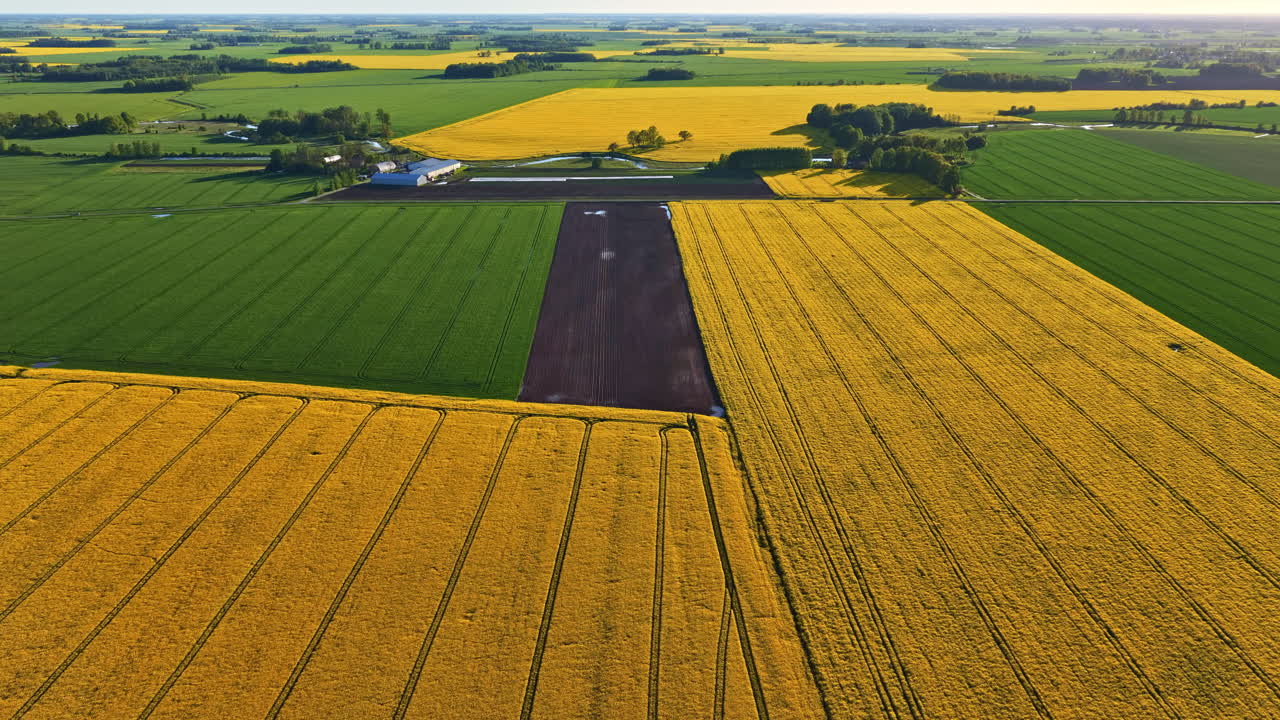 Summer colors covering the Latvian agricultural countryside. Aerial overview