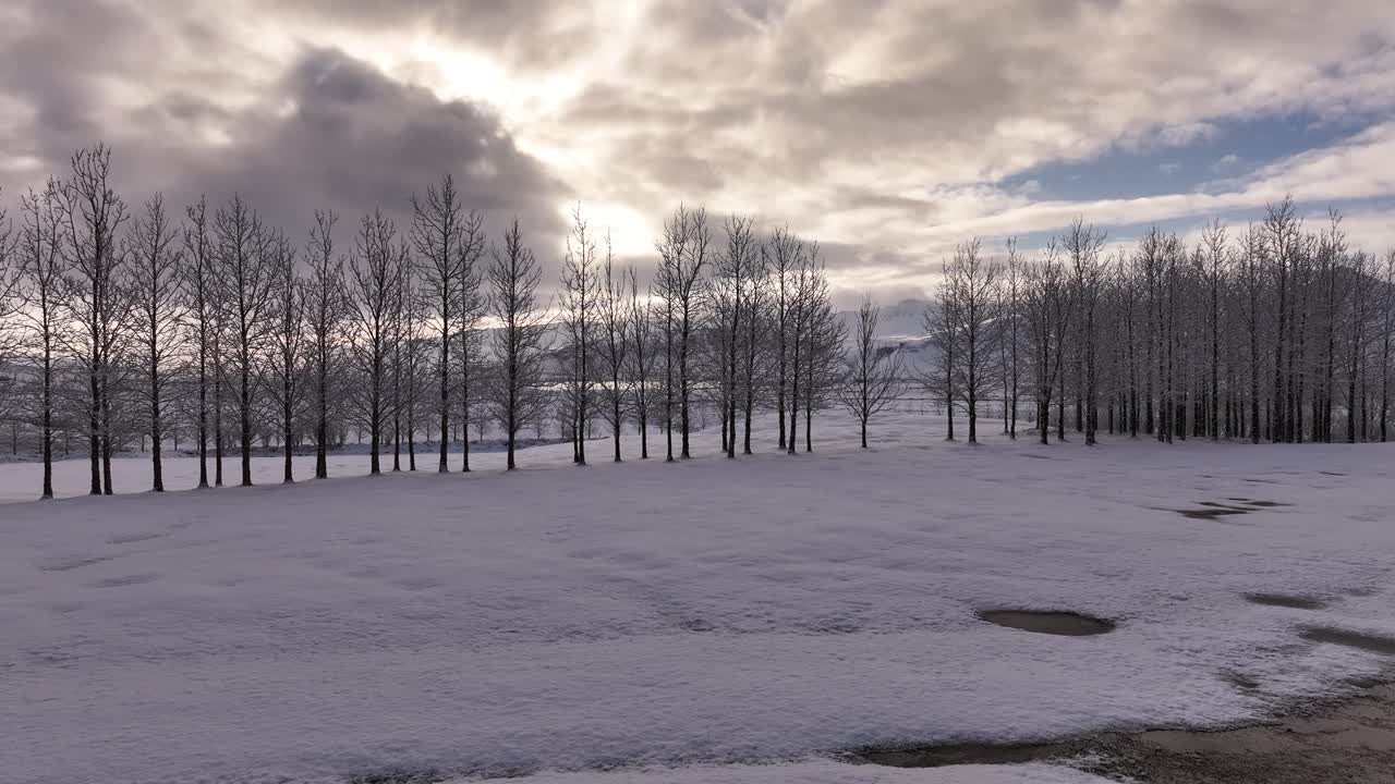 Winter scene in Borgarfjörður, Iceland. A line of bare trees stands silently over a snowy field, reflecting in a thawing stream under a dramatic, cloud-filled sky.