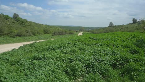 Feldweg-Durch-Das-Feld-Am-Sommernachmittag,-Drohnenaufnahmen-Aus-Der-Luft