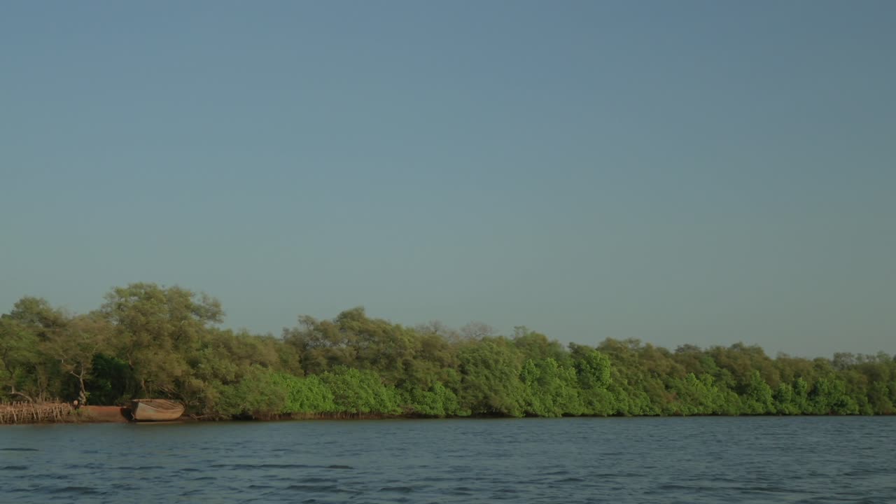 un río tranquilo que fluye por un denso bosque de manglares verdes, un cielo azul claro por encima