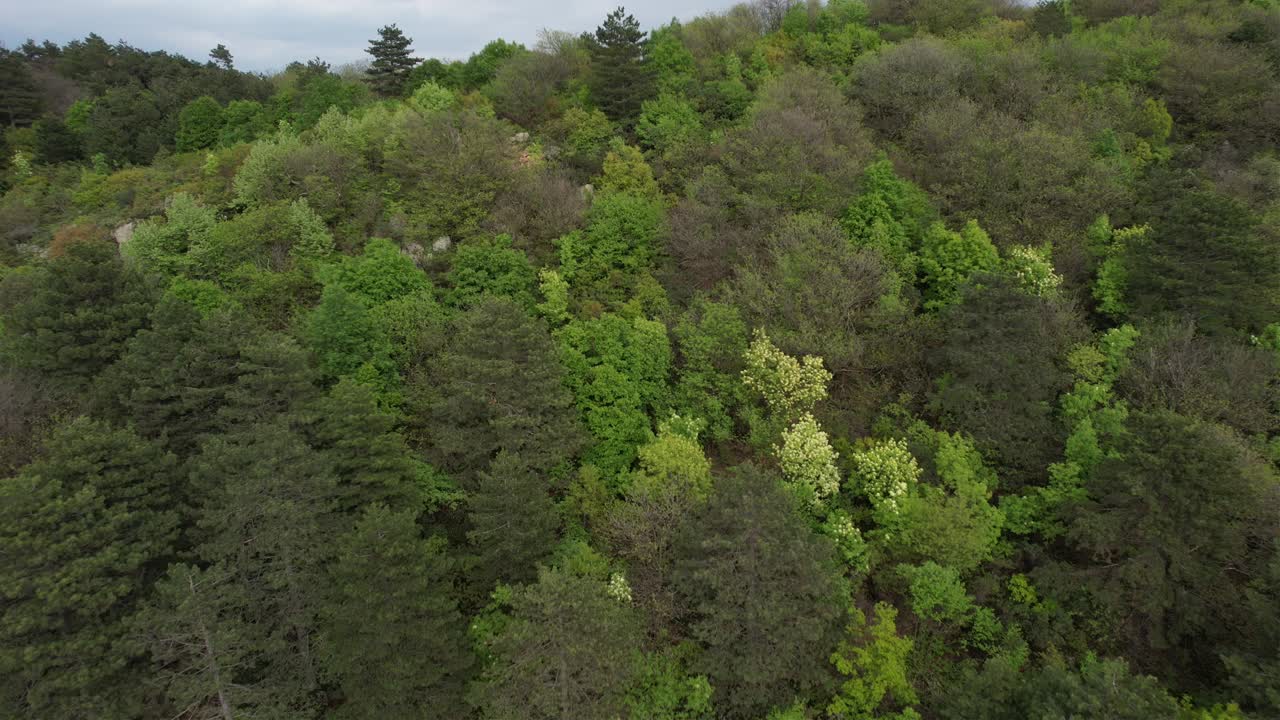 ciudad de bursa en la naturaleza verde