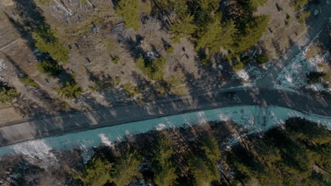 Top-down-rotating-aerial-following-adventurous-black-suv-car-driving-through-nature-lush-pine-forest-in-winter-with-snow-on-ground