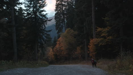 autumn hiking trail in the mountains