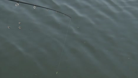 fishing rod tip on the surface of a calm water in summer