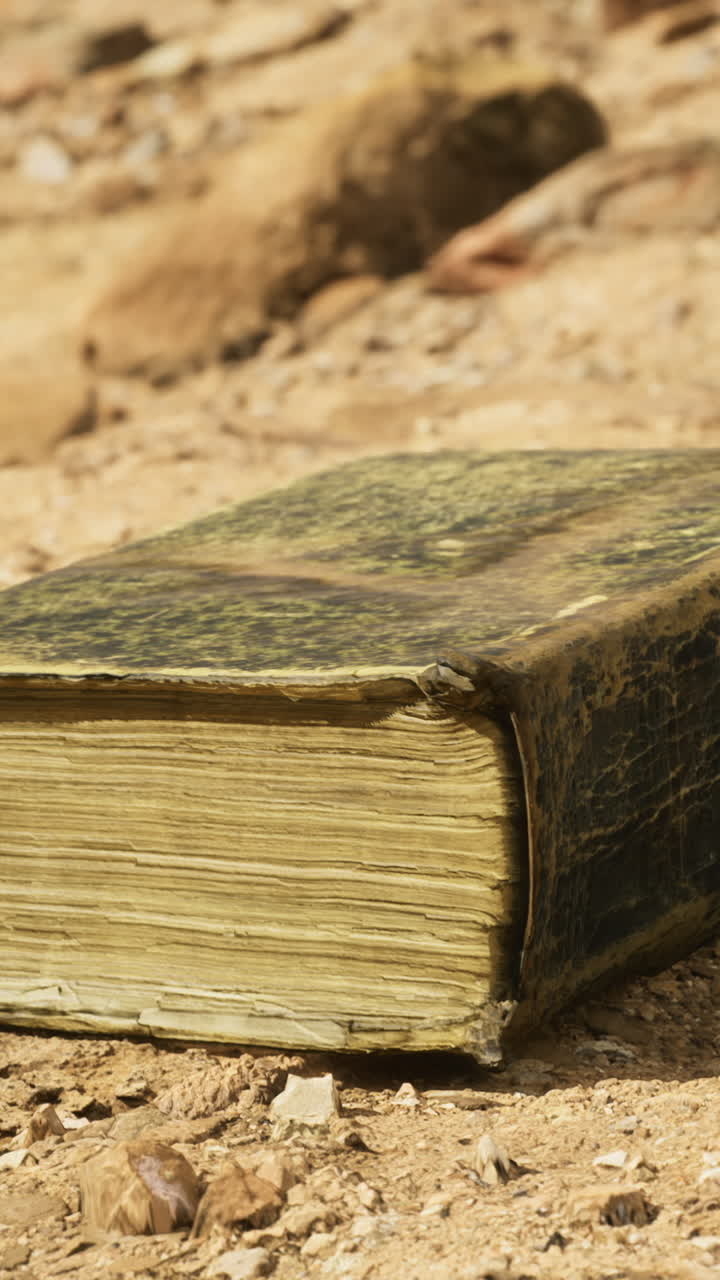 Old leather bound book rests on sandy soil in sunlit landscape
