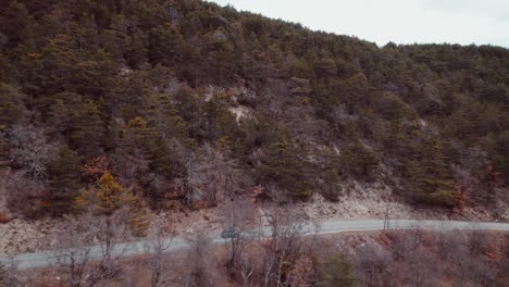 scenic road trip through mountain forest