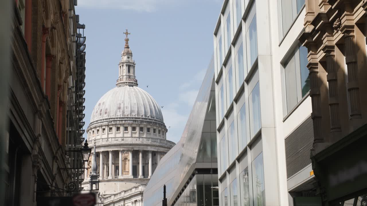 Group of birds fly infront of St. Paul's Cathedral on a summers day