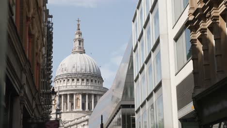 group of birds fly infront of st. paul's cathedral on a summers day